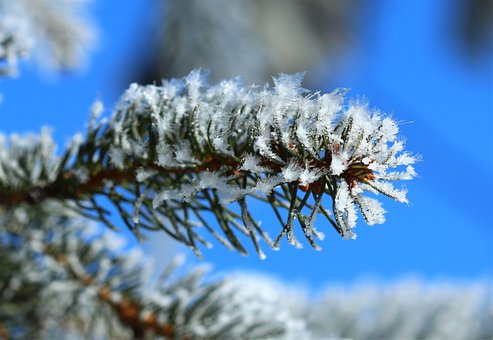Winterlandschaft, Frost, Makrofotografie