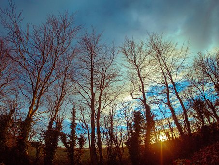 Free Sunset Sky photo and picture