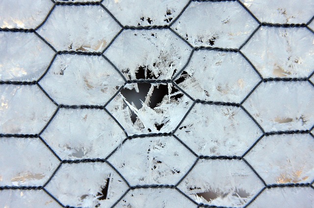 Free Fence Hoarfrost photo and picture
