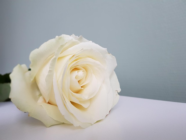 Chapeau De Paille Fille - Beige, Fleurs Rose Et Blanche, Bandeau - Taille Unique - Occasion