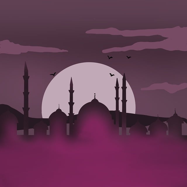 Free cami silhouette architectural illustration
