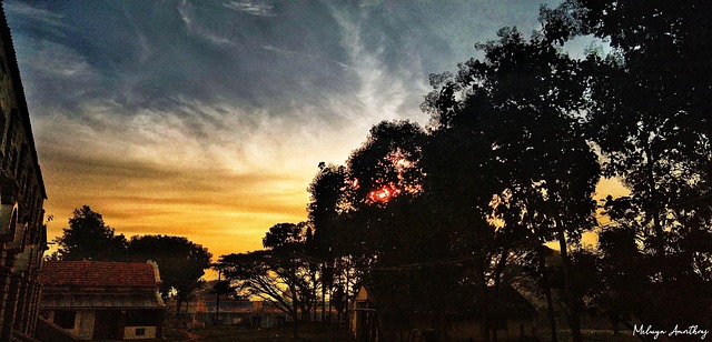 Free Nature Kgf photo and picture