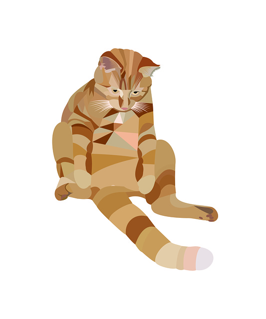 Free Cat Feline illustration and picture