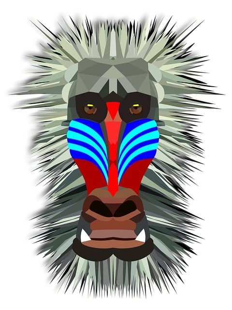 Free Mandrill Monkey illustration and picture