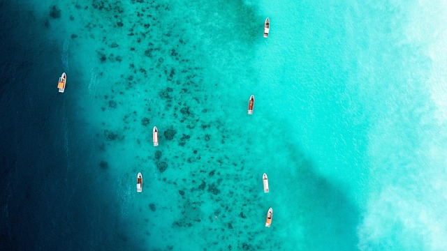 Free Sea Ocean photo and picture
