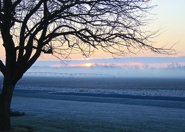 Free Frost Farm photo and picture