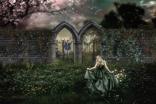 Free fence fantasy romance illustration