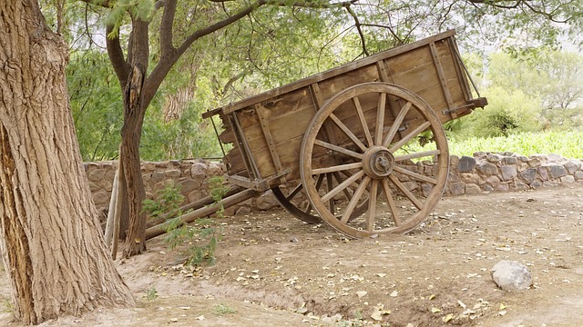 Free Cart Ancient photo and picture