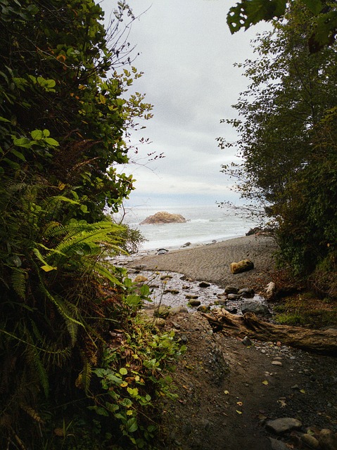 Free Bay Beach photo and picture
