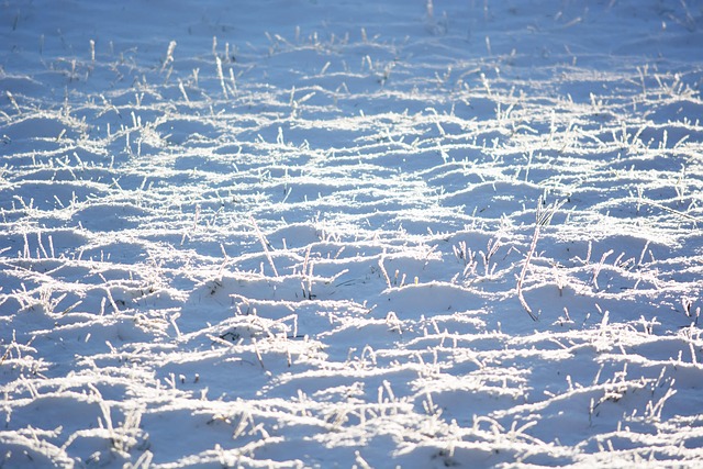 Free Nature Winter photo and picture