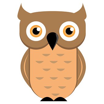 Búho, Búho Marrón, Pájaro
