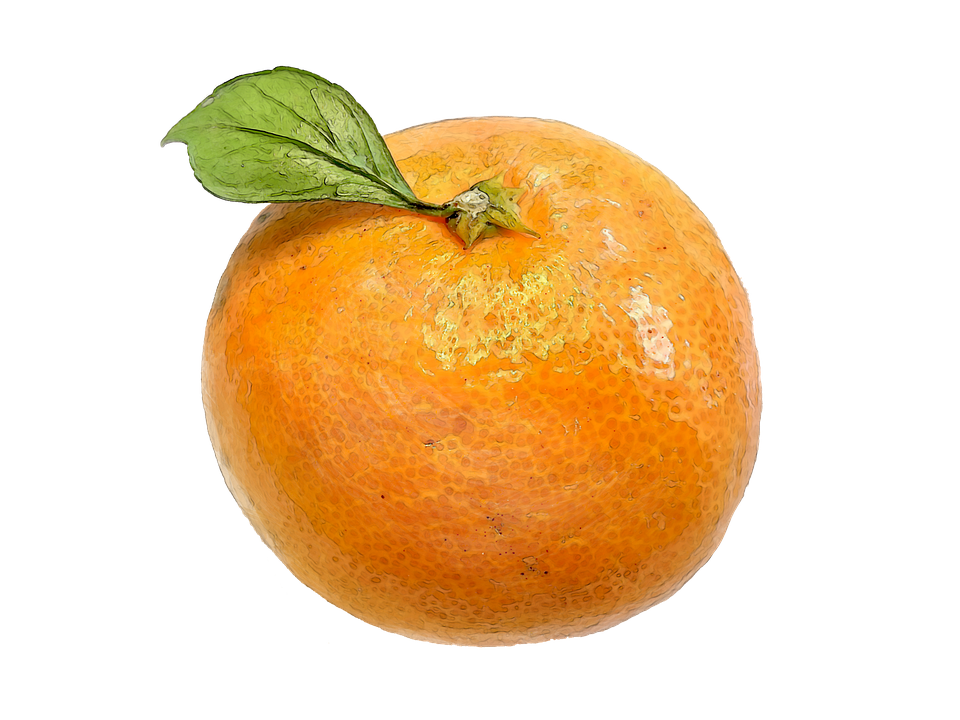 귤 수채화 Tangerine - Pixabay의 무료 이미지 - Pixabay