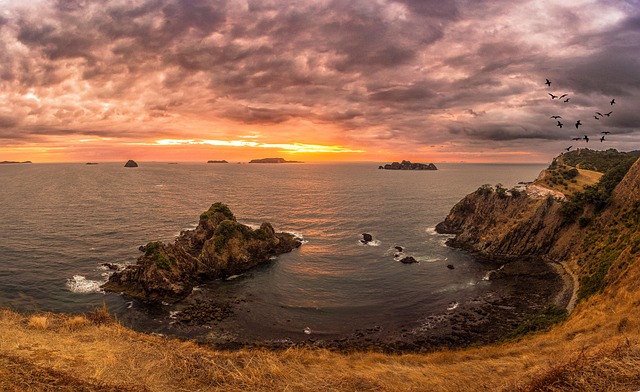Free Beach Sunrise photo and picture