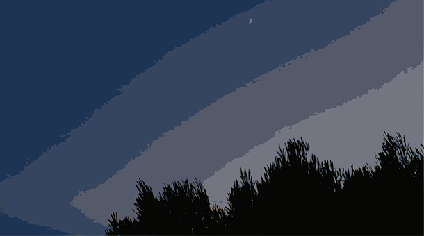 Free Night Trees vector and picture