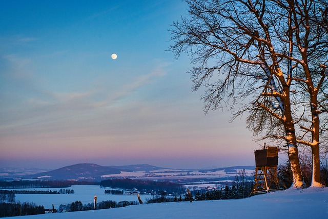 Free Moon Sunset photo and picture