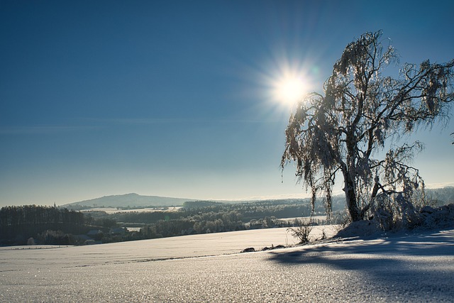 Free Winter Sun photo and picture