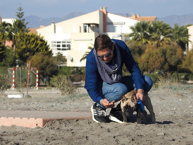 Free Beach Walk photo and picture