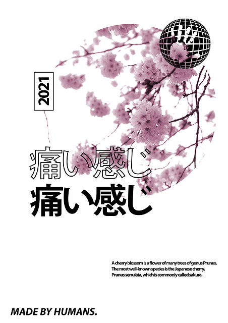 Free Japan Cherry Blossom illustration and picture
