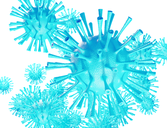 Corona, Coronavirus, Virus, Impfen