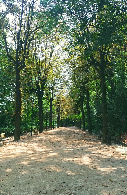 Free Nature Garden photo and picture