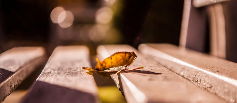 Free Wooden Bench photo and picture