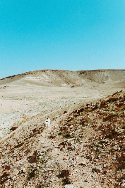 Free Landscape Desert photo and picture