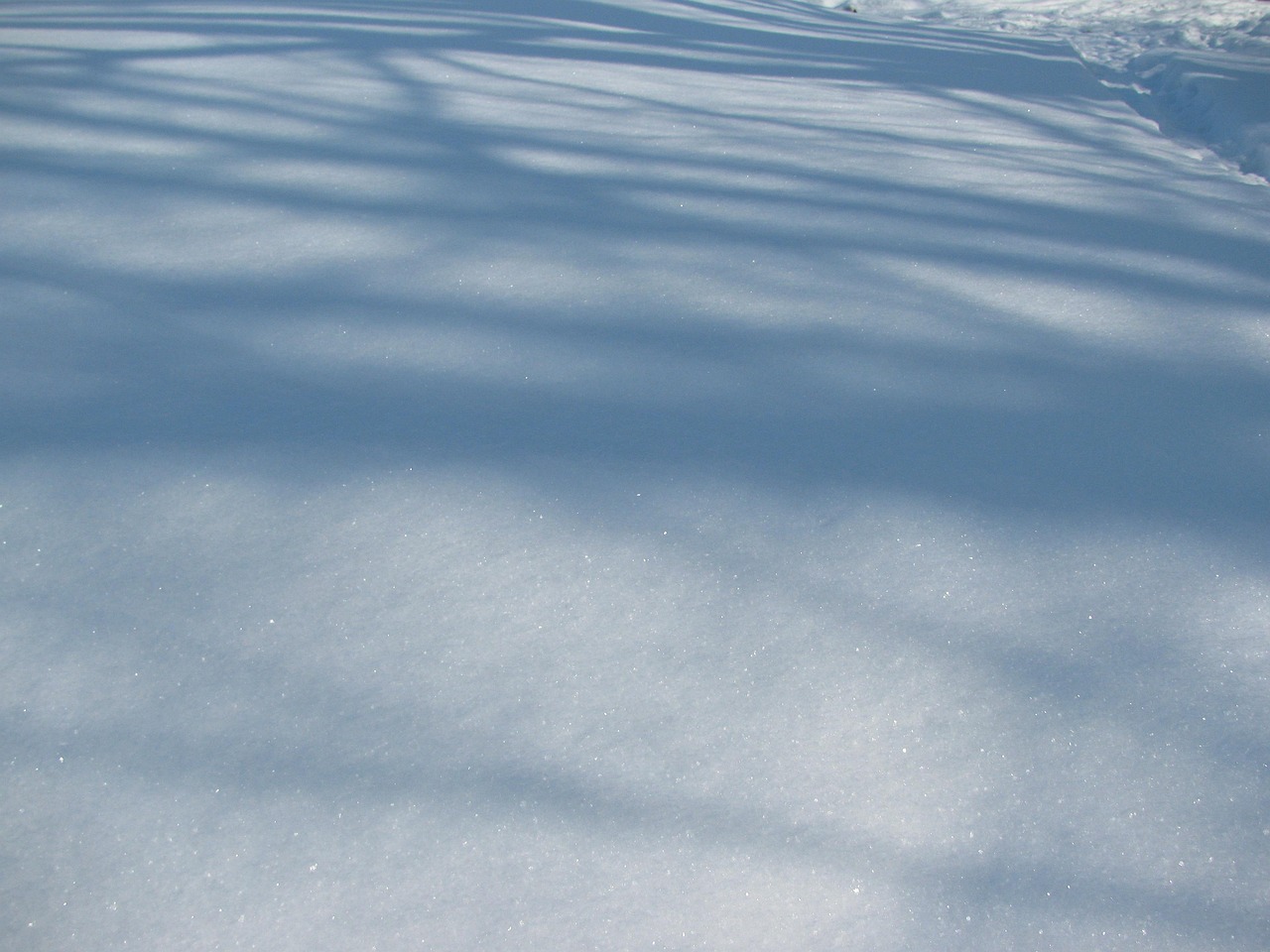 Winterlandscape Winter Snow - Free photo on Pixabay - Pixabay