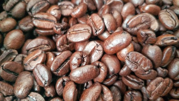 Free Coffee Grain photo and picture