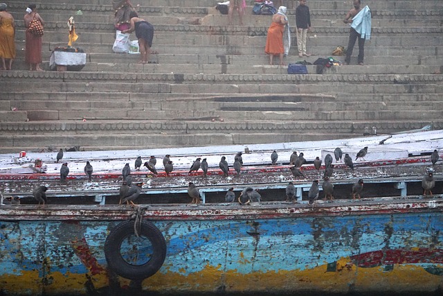 Free India Ganges photo and picture