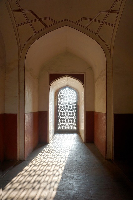 Free India Amber Fort photo and picture