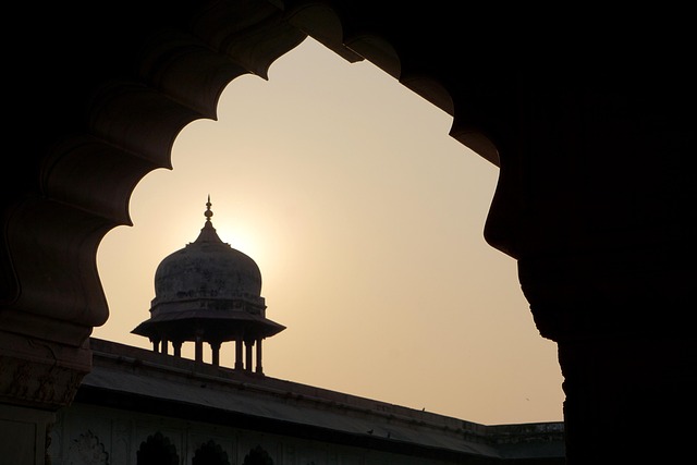 Free Amber Fort India photo and picture