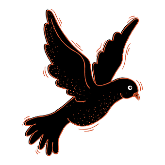 Free Dove Bird illustration and picture