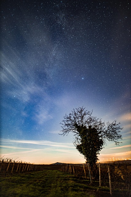 Estrellas, Paisaje, Cielo Estrellado