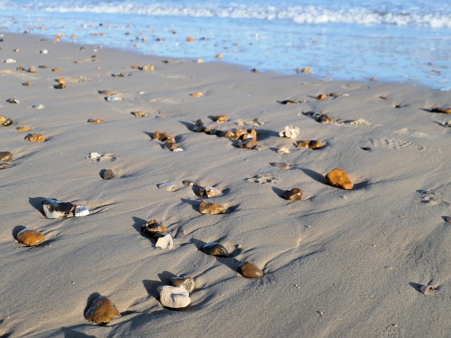 Free Beach Sea photo and picture