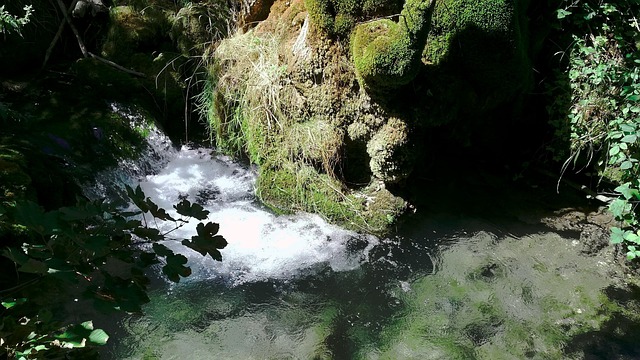Free Water Bach photo and picture