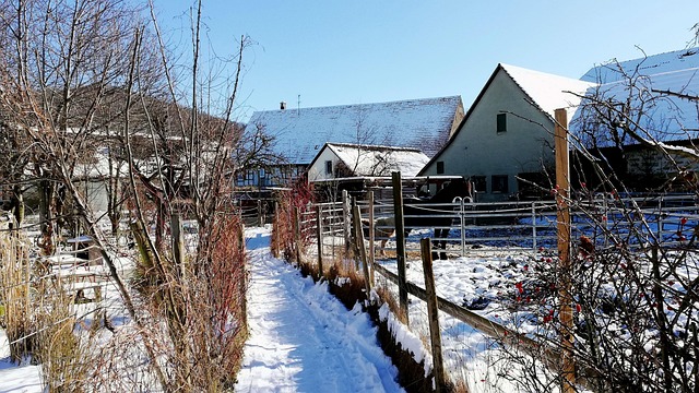 Free Winter Snow photo and picture