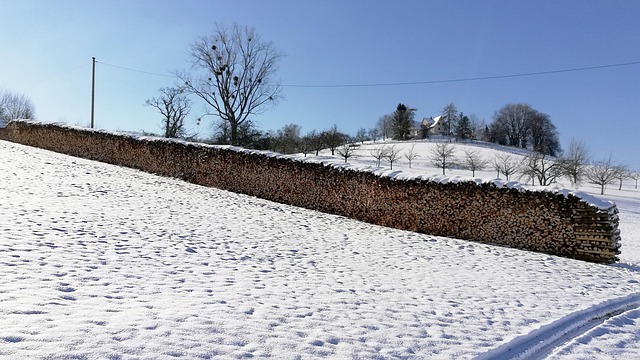 Free Snow Winter photo and picture