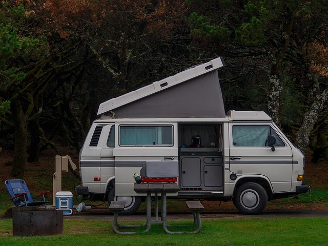 Free Westfalia Camper photo and picture