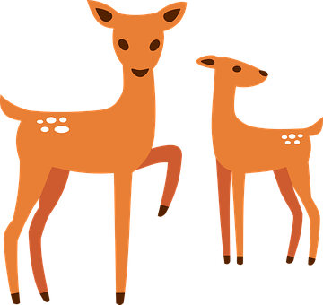 Free Deer Fawn vector and picture
