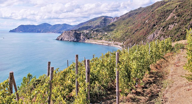Free Italy Five Land photo and picture