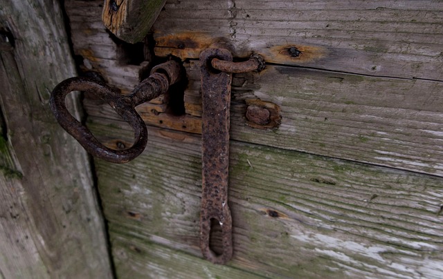 Free Old Door photo and picture