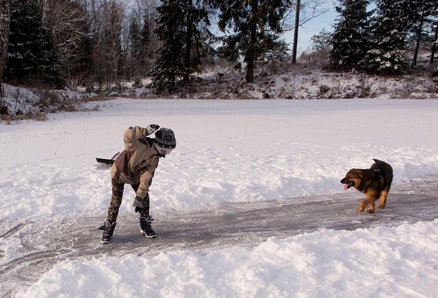 Free Fun Winter photo and picture