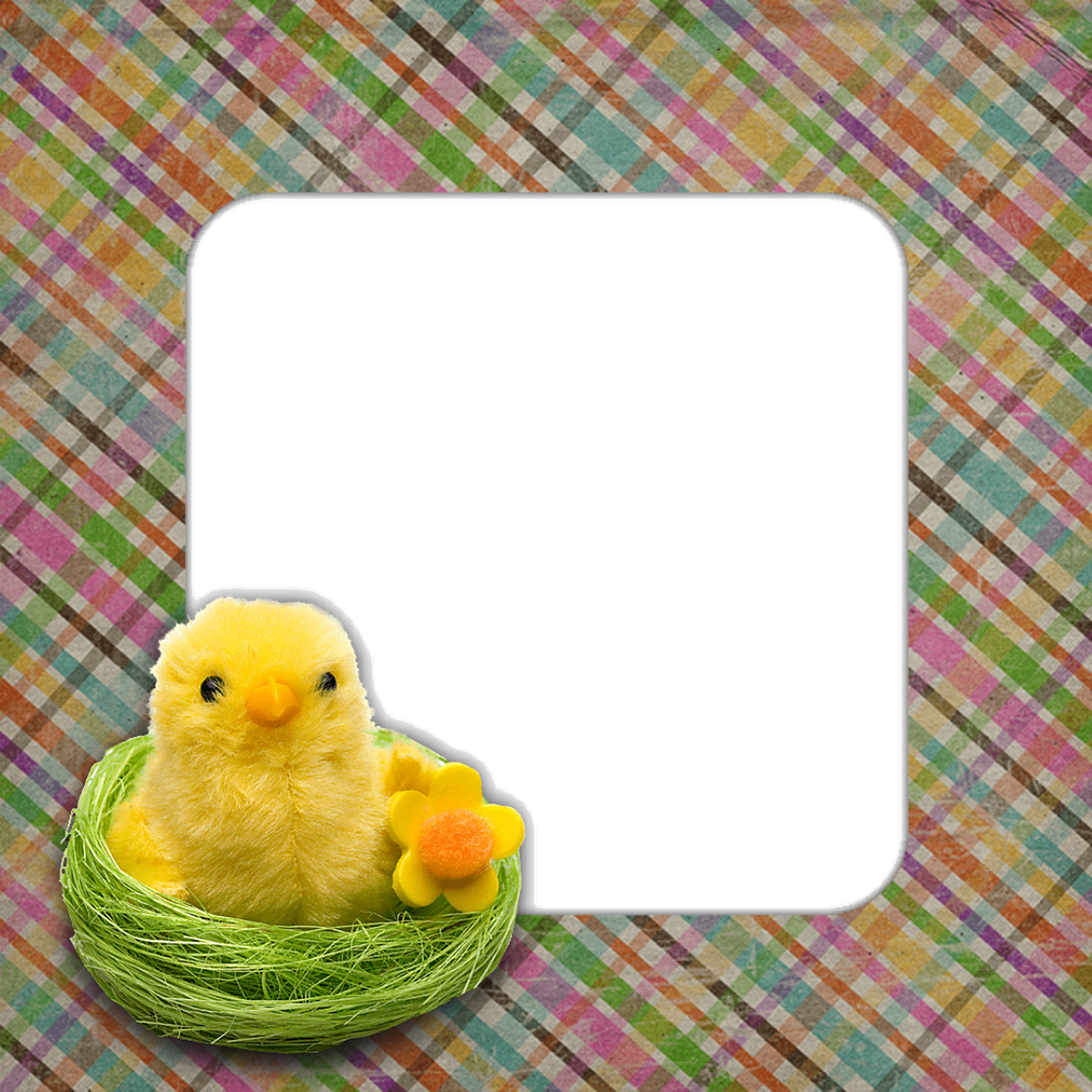 Ram Klippbok - Gratis bilder på Pixabay - Pixabay