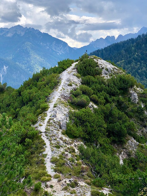 Free Path Mountain photo and picture