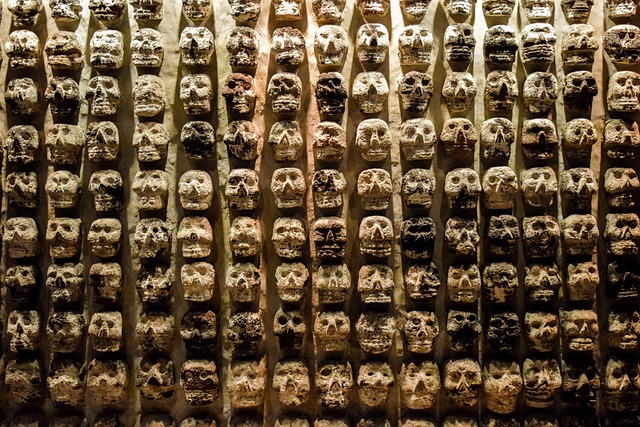 Free Cráneo Ofrenda photo and picture