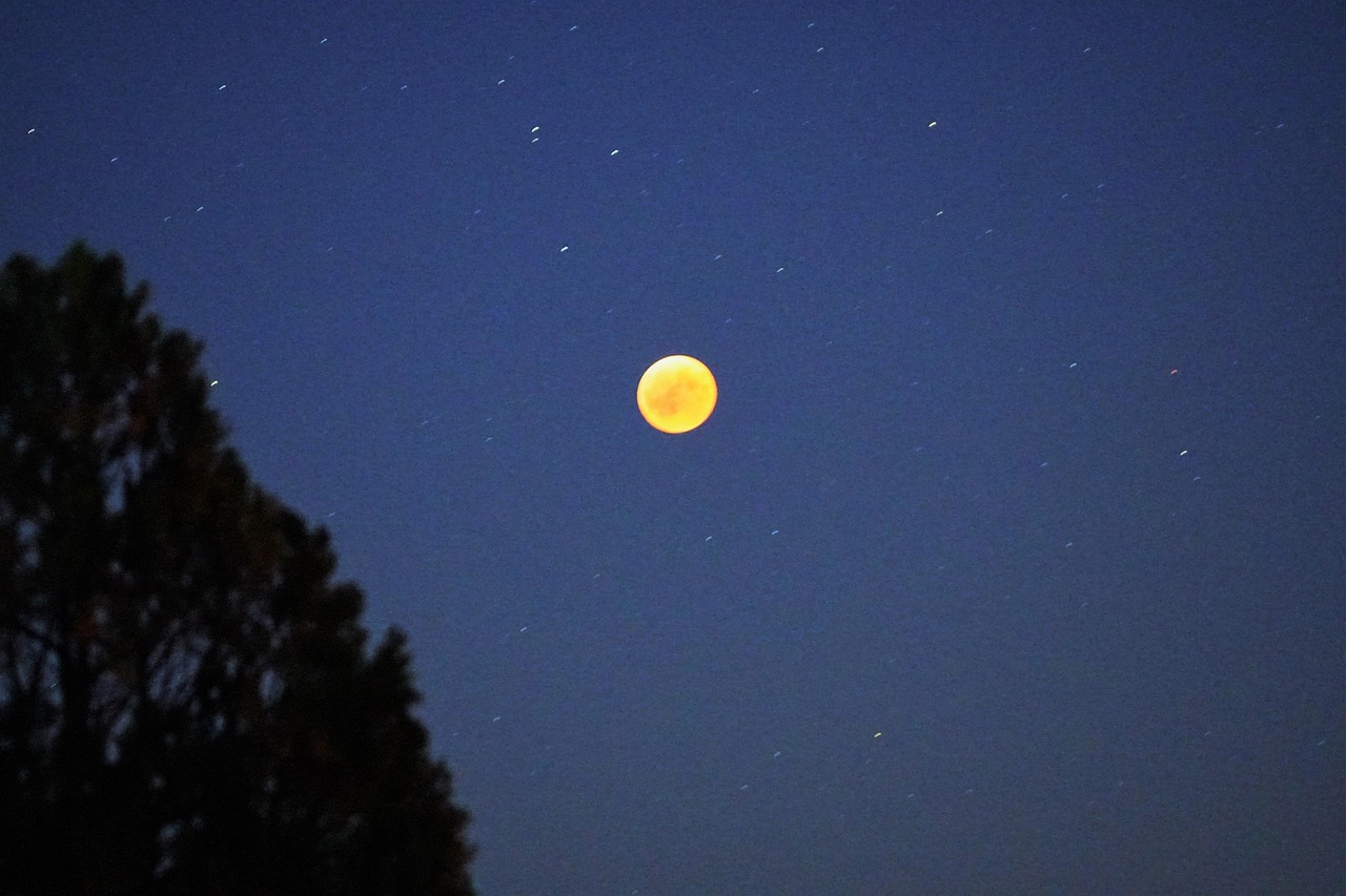 夜晚 满月 月亮 - Pixabay上的免费照片 - Pixabay