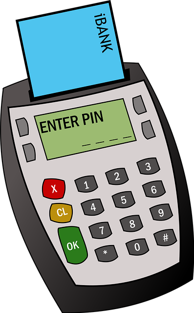 Chip- Und Pin-Maschine, Chip, Stift