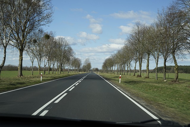 Estrada, Verão, Vazio, Transporte, Rural