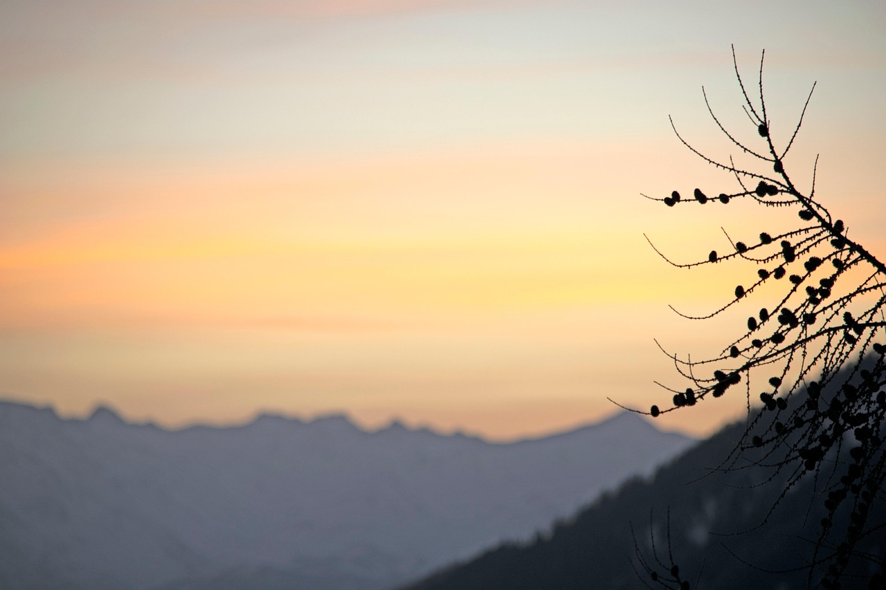 Photo Champ Profondeur De Champ Focus La - Photo gratuite sur Pixabay - Pixabay
