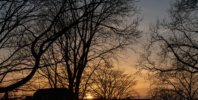 Free Sun Demise photo and picture